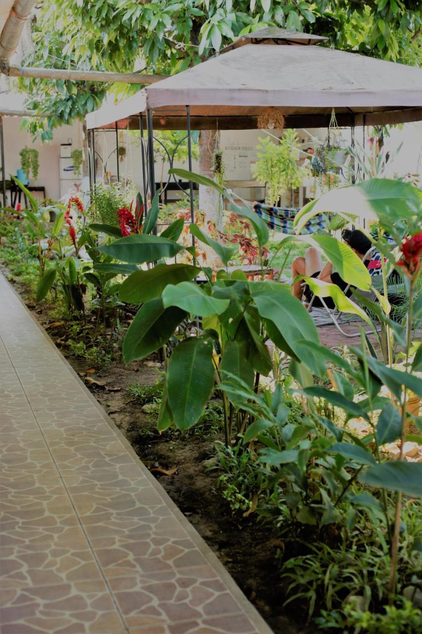 Hotel Backpacker Kitara House Tarapoto Exterior foto